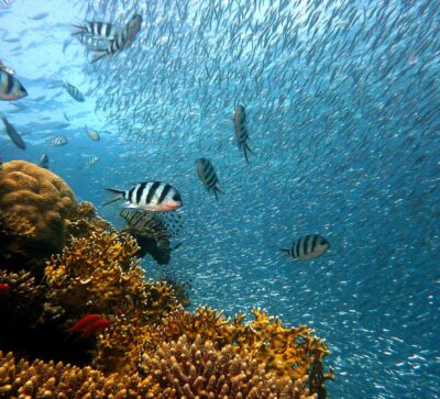 Unter Wasser im Toten Meer
